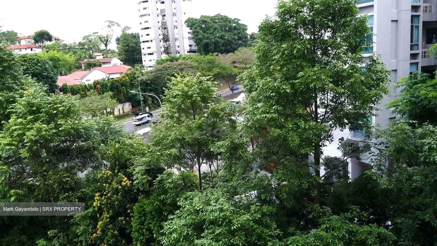Holland Hill (D10), Apartment #556808521